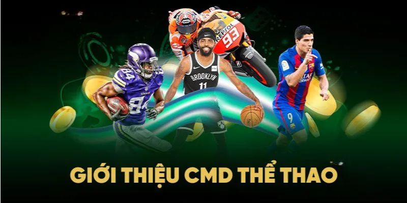 Khái quát cơ bản về sảnh cược thể thao CMD hấp dẫn