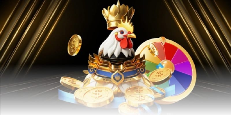 3 điều giúp đá gà cựa tròn được yêu thích